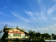 汶上蓮花湖濕地風光照片