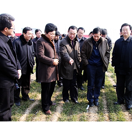 國家農(nóng)業(yè)部副部長陳曉華來汶上縣檢查指導抗旱促春管工作